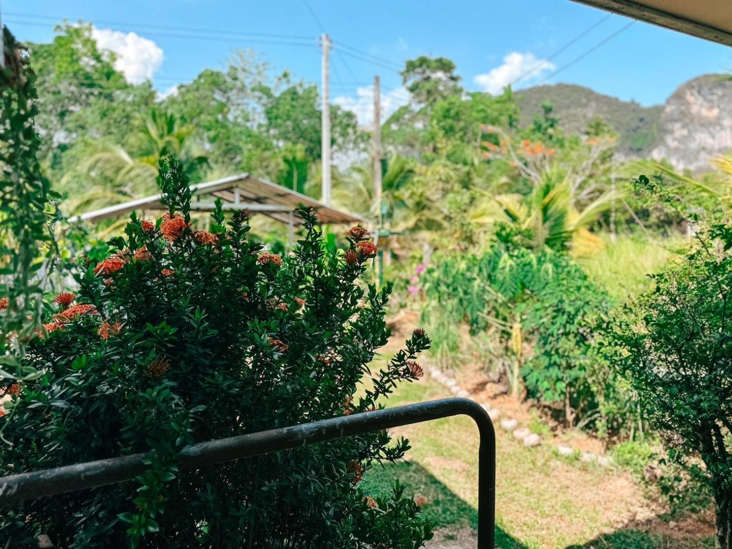 Ao Luek Homie Homestay Krabi town Extérieur photo